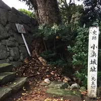 小浜城址の写真・動画_image_157836