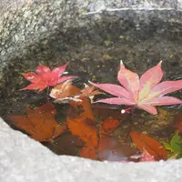 三溪園の写真・動画_image_158548