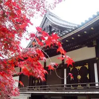 仁和寺の写真・動画_image_158660