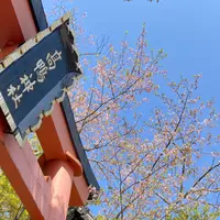 高鴨神社の写真・動画_image_1587697