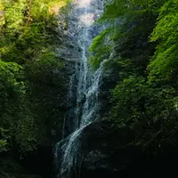 琴滝の写真・動画_image_1593227