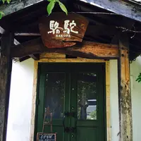 駱駝の写真・動画_image_159575