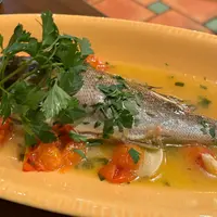  パルテノペ 恵比寿店（Partenope）の写真・動画_image_1599351