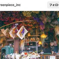 greenpieceの写真・動画_image_1601619