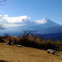 大野山の写真・動画_image_160225