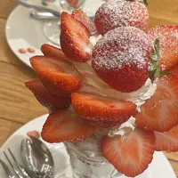 果実園リーベル 渋谷ヒカリエ店の写真・動画_image_1603943
