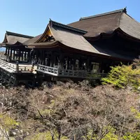 清水寺の写真・動画_image_1604925