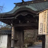 宮崎市の写真・動画_image_160611