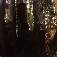 祇園山の写真・動画_image_160613