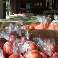 綾手づくりほんものセンターの写真・動画_image_160619