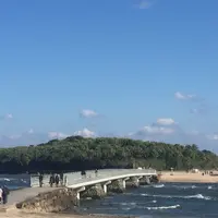 青島の写真・動画_image_160620