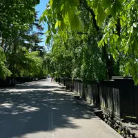角館武家屋敷通りの写真・動画_image_1606699