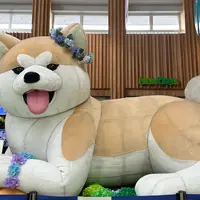 秋田駅の写真・動画_image_1606709