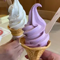 鶴の舞橋観光施設 ここにもあるじゃの写真・動画_image_1610198
