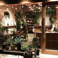 guesthouse RICOの写真・動画_image_161277