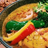 薬膳スープカレー・シャナイア（Shania）の写真・動画_image_161428