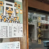 葉もれ日の写真・動画_image_1615388