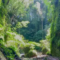 伊尾木洞の写真・動画_image_1616723