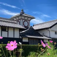 野良時計の写真・動画_image_1616775