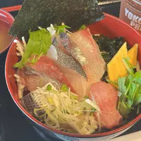 三崎まぐろ あがっとこYOKOSUKAの写真・動画_image_1617975