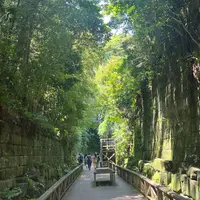 猿島の写真・動画_image_1617997