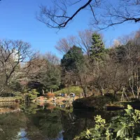 有栖川宮記念公園の写真・動画_image_161970