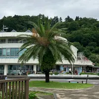 道の駅 フェニックスの写真・動画_image_1624117