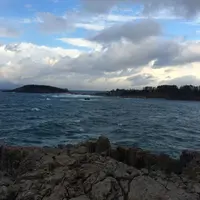 東尋坊の写真・動画_image_162523