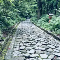 石畳の参道の写真・動画_image_1626155