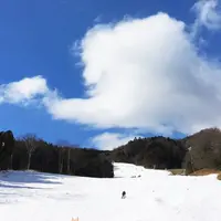 ノルン水上の写真・動画_image_162719