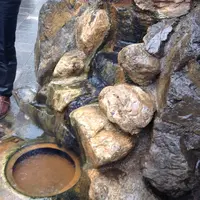 駅前高等温泉の写真・動画_image_162775