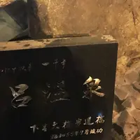 下呂温泉の写真・動画_image_162855