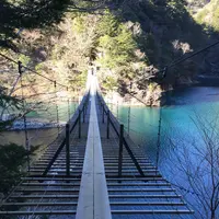 夢の吊橋の写真・動画_image_162964