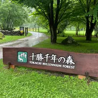十勝千年の森の写真・動画_image_1630011
