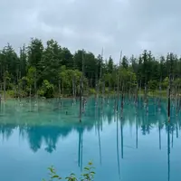 白金青い池の写真・動画_image_1630016