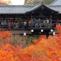 東福寺駅の写真・動画_image_163179