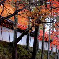 明暗寺の写真・動画_image_163180