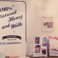 Melting in the mouth Tokyo Japanの写真・動画_image_163183