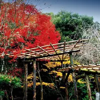 新善光寺の写真・動画_image_163202