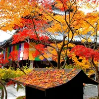 今熊野観音寺の写真・動画_image_163212