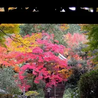 来迎院の写真・動画_image_163213