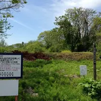 神指城跡の写真・動画_image_163457