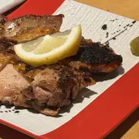 炉ばた しんがりの写真・動画_image_1640849