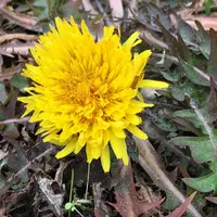 宮地駅の写真・動画_image_164224