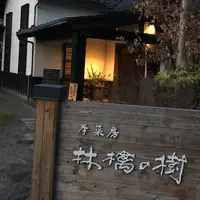 共楽園・林檎の樹の写真・動画_image_164321