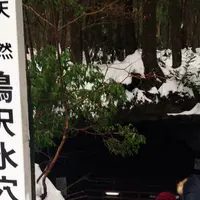 鳴沢氷穴の写真・動画_image_164753