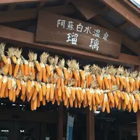 阿蘇白水温泉「瑠璃」の写真・動画_image_164790