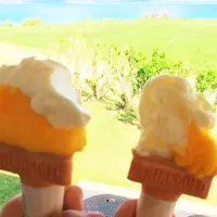 ミルミル本舗の写真・動画_image_164820
