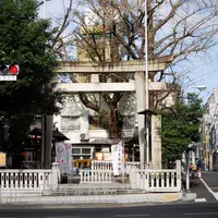 鳥越神社の写真・動画_image_164895