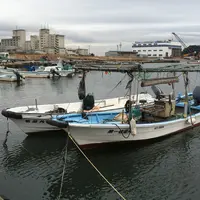 東港の写真・動画_image_164919